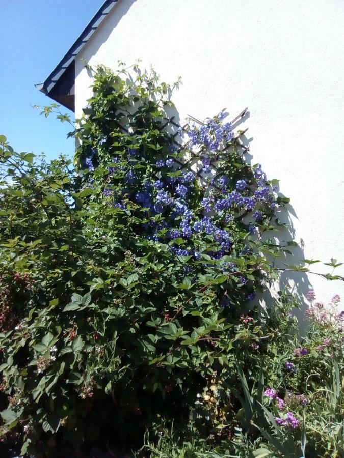 Maison De Vacances Trevieres 외부 사진